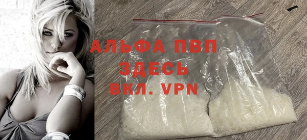 эйфоретик Гусев