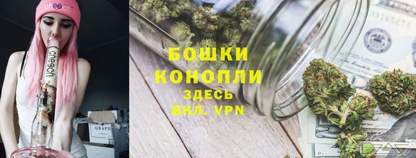 спиды Гусь-Хрустальный