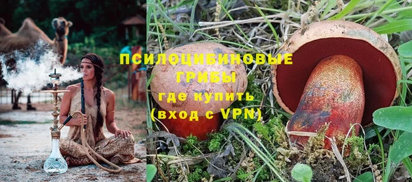 марихуана Гусиноозёрск