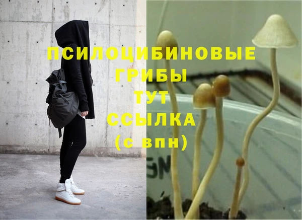 эйфоретик Гусев