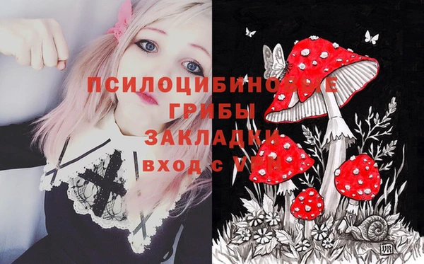 спиды Гусь-Хрустальный