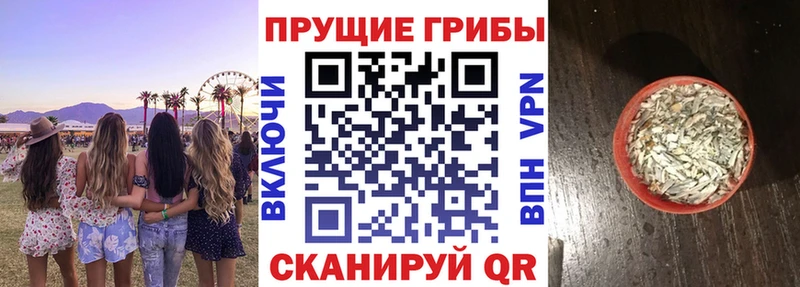Псилоцибиновые грибы мухоморы  где найти наркотики  Черкесск 